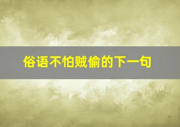 俗语不怕贼偷的下一句