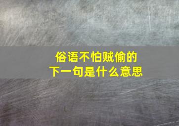 俗语不怕贼偷的下一句是什么意思