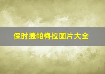 保时捷帕梅拉图片大全