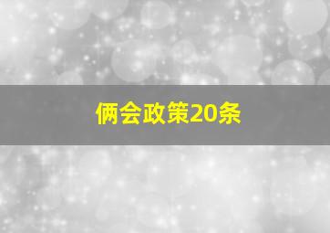 俩会政策20条