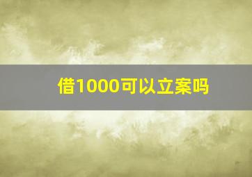 借1000可以立案吗