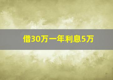 借30万一年利息5万