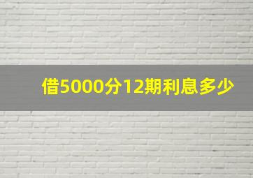 借5000分12期利息多少