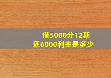 借5000分12期还6000利率是多少