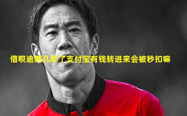 借呗逾期几年了支付宝有钱转进来会被秒扣嘛