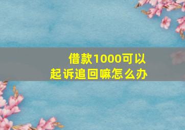 借款1000可以起诉追回嘛怎么办