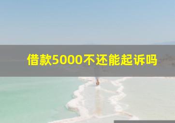 借款5000不还能起诉吗