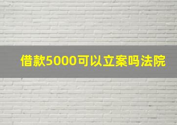 借款5000可以立案吗法院