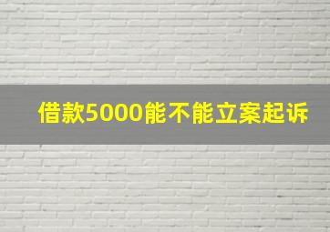 借款5000能不能立案起诉