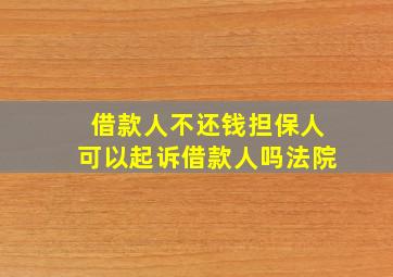 借款人不还钱担保人可以起诉借款人吗法院