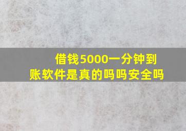 借钱5000一分钟到账软件是真的吗吗安全吗