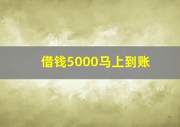 借钱5000马上到账