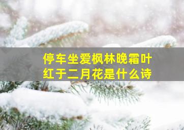 停车坐爱枫林晚霜叶红于二月花是什么诗