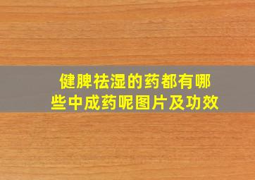 健脾祛湿的药都有哪些中成药呢图片及功效