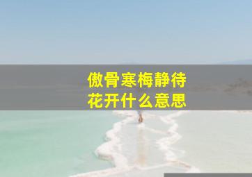 傲骨寒梅静待花开什么意思