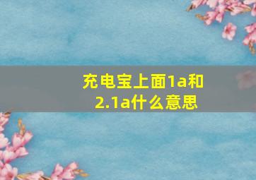 充电宝上面1a和2.1a什么意思