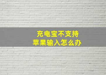 充电宝不支持苹果输入怎么办