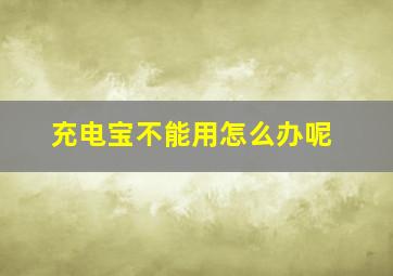 充电宝不能用怎么办呢