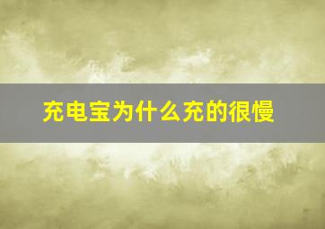 充电宝为什么充的很慢