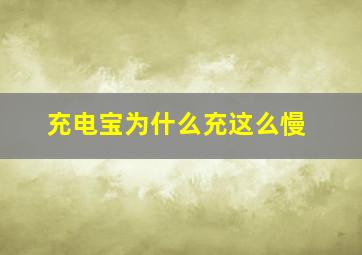 充电宝为什么充这么慢