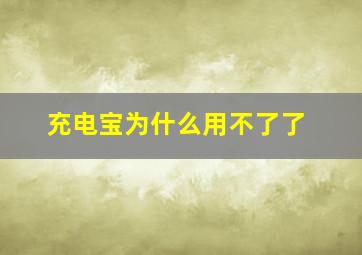 充电宝为什么用不了了