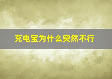 充电宝为什么突然不行