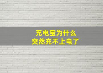 充电宝为什么突然充不上电了