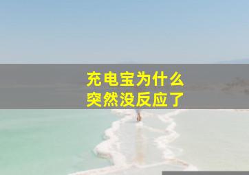 充电宝为什么突然没反应了