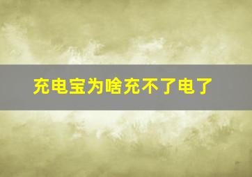 充电宝为啥充不了电了