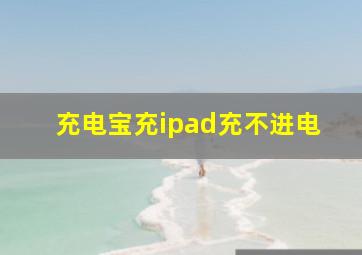 充电宝充ipad充不进电