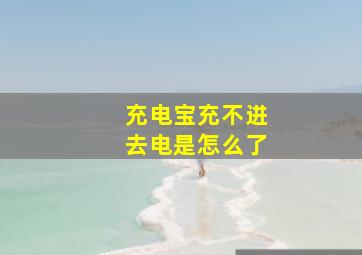 充电宝充不进去电是怎么了