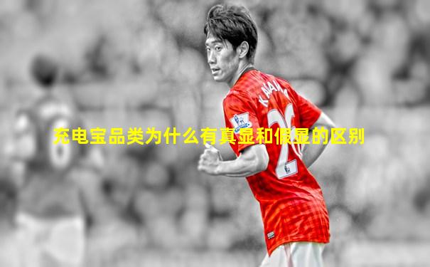 充电宝品类为什么有真显和假显的区别