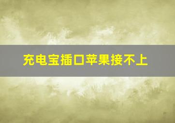 充电宝插口苹果接不上