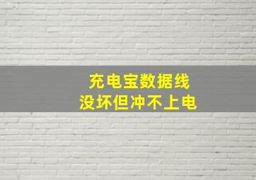 充电宝数据线没坏但冲不上电