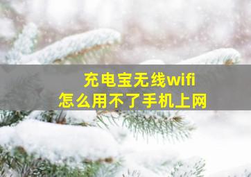 充电宝无线wifi怎么用不了手机上网