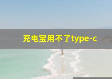 充电宝用不了type-c