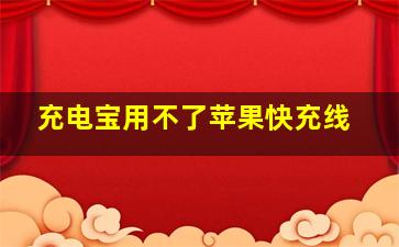 充电宝用不了苹果快充线