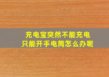 充电宝突然不能充电只能开手电筒怎么办呢