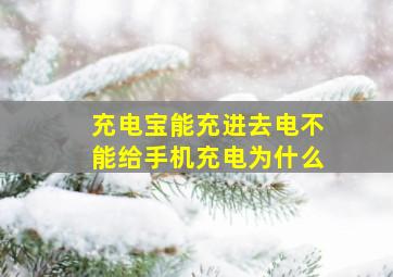 充电宝能充进去电不能给手机充电为什么