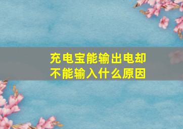 充电宝能输出电却不能输入什么原因