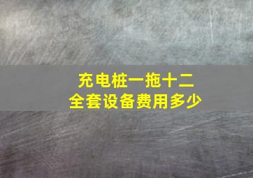 充电桩一拖十二全套设备费用多少