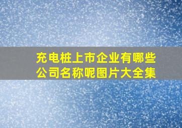 充电桩上市企业有哪些公司名称呢图片大全集