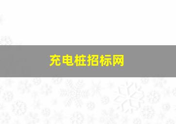 充电桩招标网