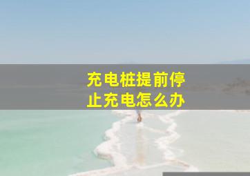 充电桩提前停止充电怎么办