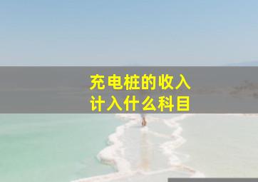 充电桩的收入计入什么科目