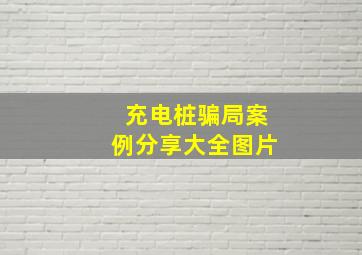 充电桩骗局案例分享大全图片