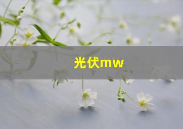 光伏mw