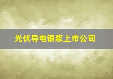 光伏导电银浆上市公司