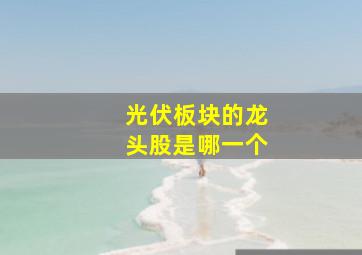 光伏板块的龙头股是哪一个