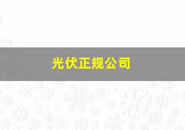 光伏正规公司